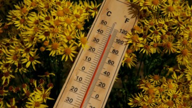 Les jours caniculaires à Bruxelles vont doubler sans nouvelles mesures climatiques