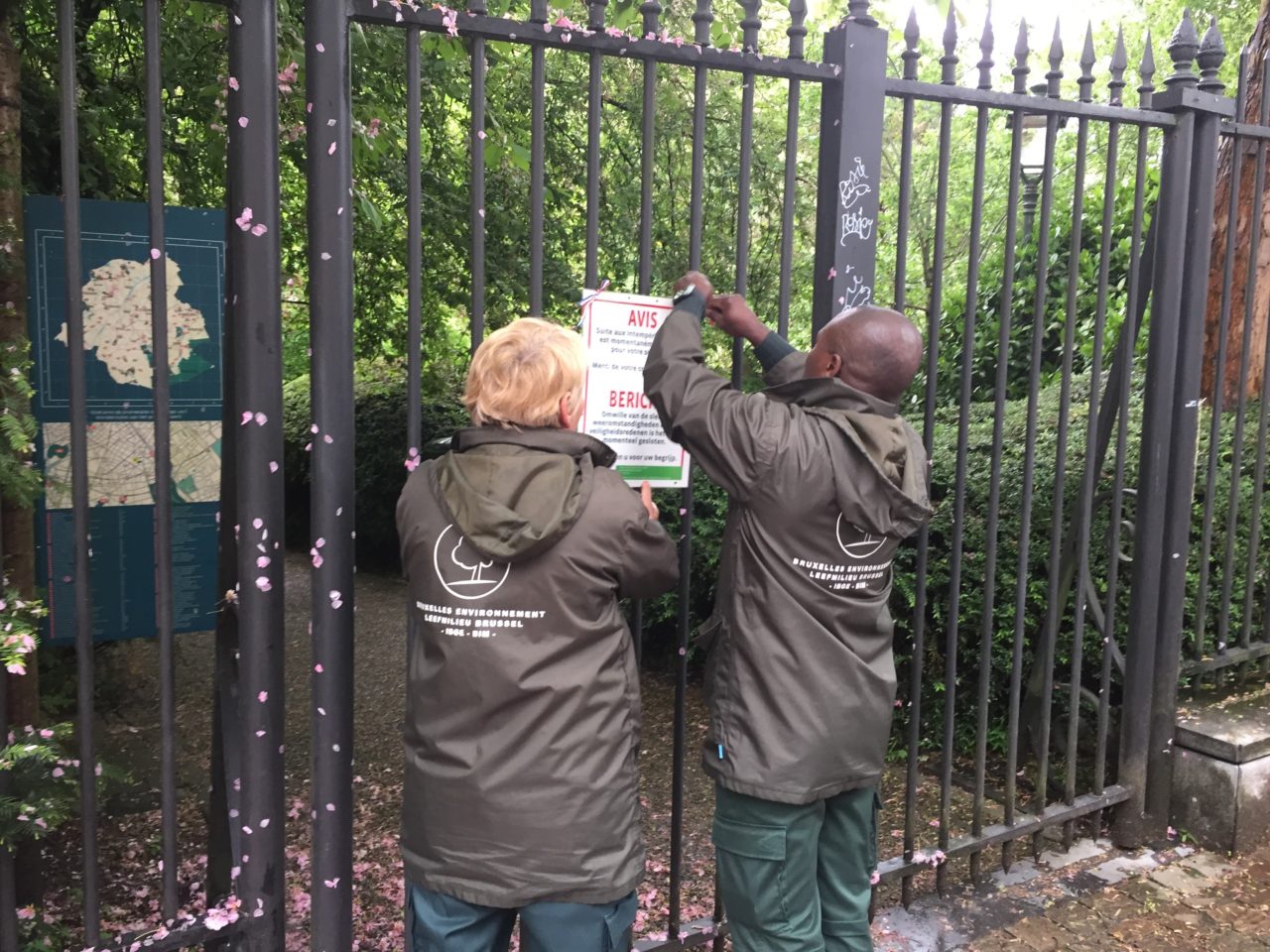 fermeture des parcs régionaux pour cause de rafales de vent - BX1