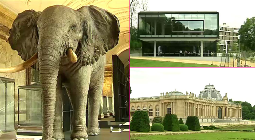 Le Musée de l'Afrique centrale à Tervuren rouvrira en décembre, visite en avant-première - BX1