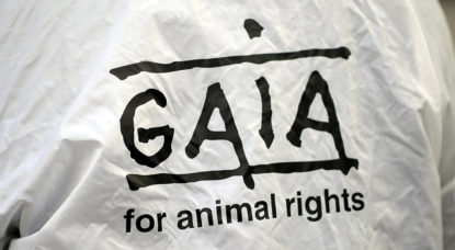 Gaia salue l'interdiction d'abattage sans étourdissement sur des sites temporaires - BX1