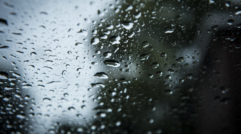 Les averses orageuses rythmeront encore la journée - BX1