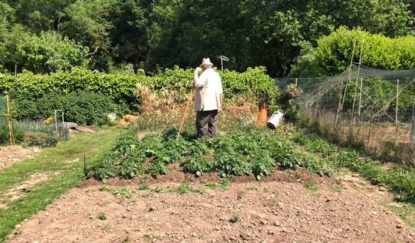 De plus en plus de potagers collectifs menacés de disparition - BX1