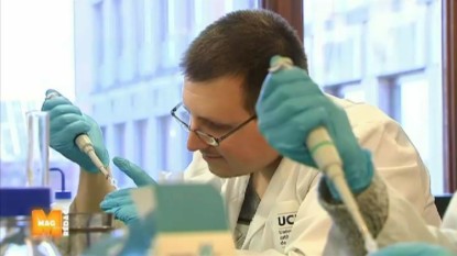 recherhe sur les bactérie luttant contre le risque d'obésité à l'UCL - BX1