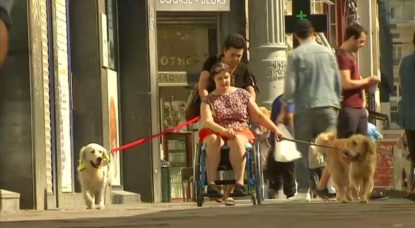 Katherine Sokal - Handicap Chien Assistance - BX1