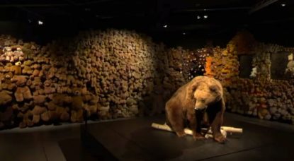 Exposition Ours Nounous - Muséum Bruxelles