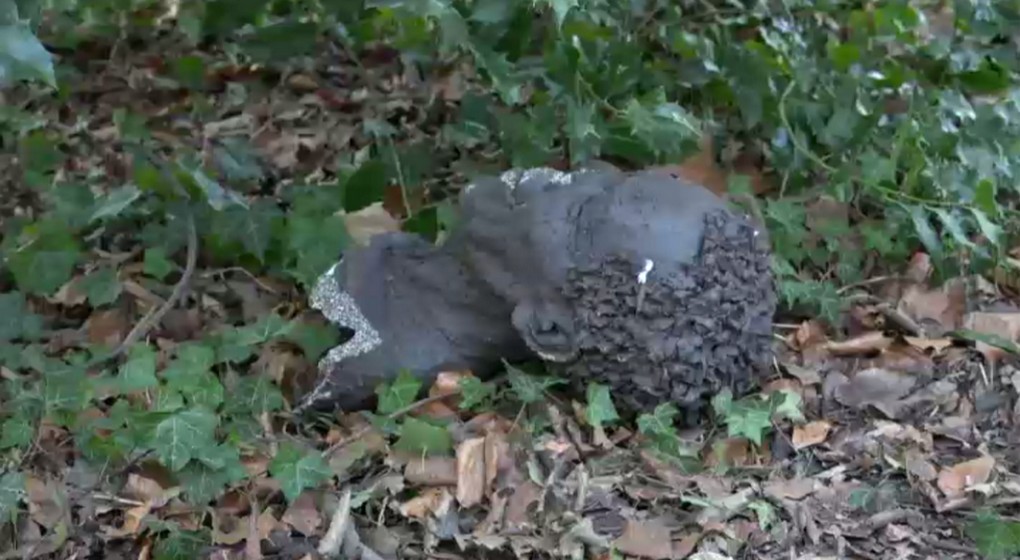 Buste Nelson Mandela Statue - Parc Duden Forest - BX1