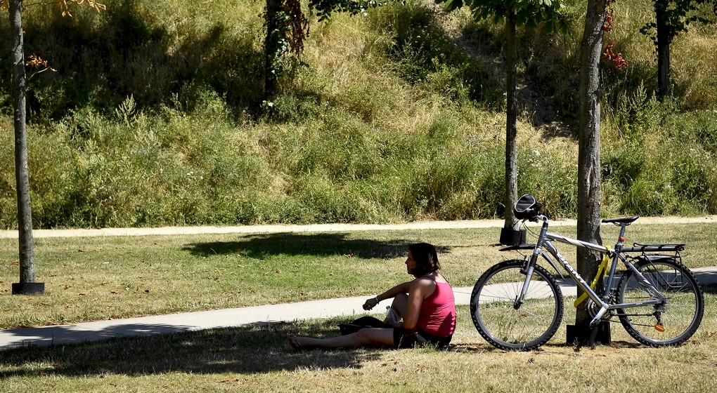 Soleil Cycliste Vélo à l'ombre Canicule Chaleur - Belga Dirk Waem