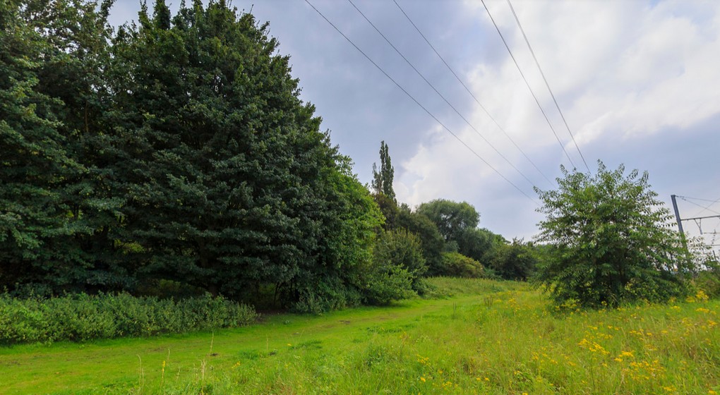 Parc Walckiers - Google Street View