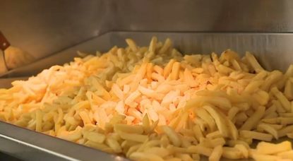 Frites - Illustration BX1