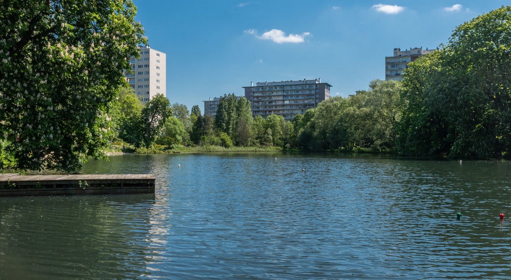 Étang des Pêcheries - Watermael-Boitsfort.jpg