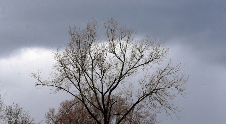 Météo : beaucoup de nuages pour terminer la semaine