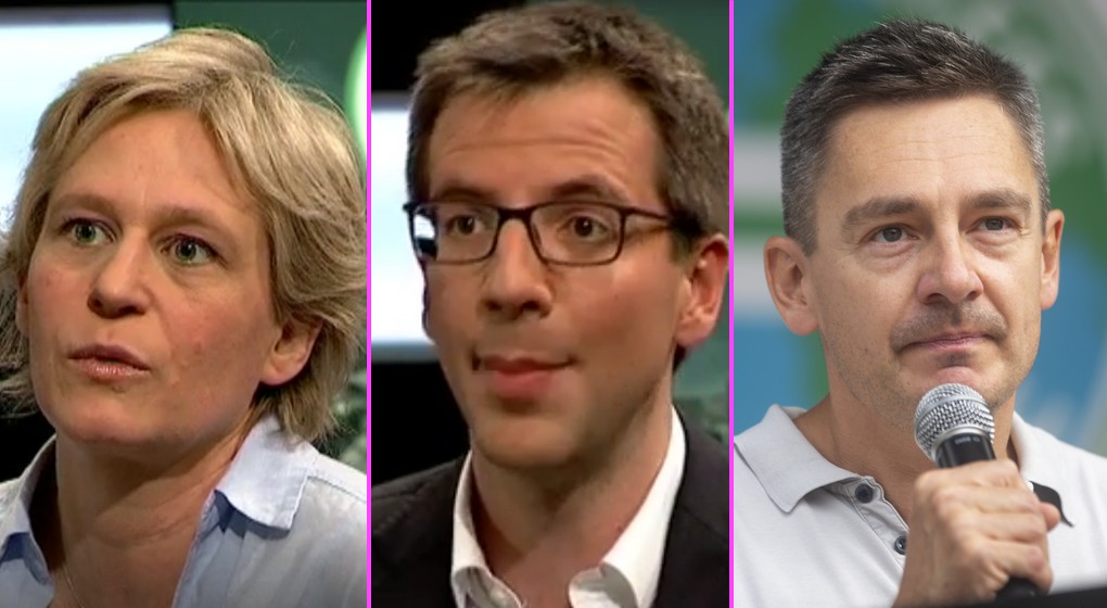 Montage Catherine Morenville Thibaud Wyngaard Benoit Hellings - BX1 - Belga.jpg