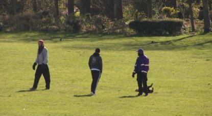 Parc de Forest - Illustration BX1 Confinement