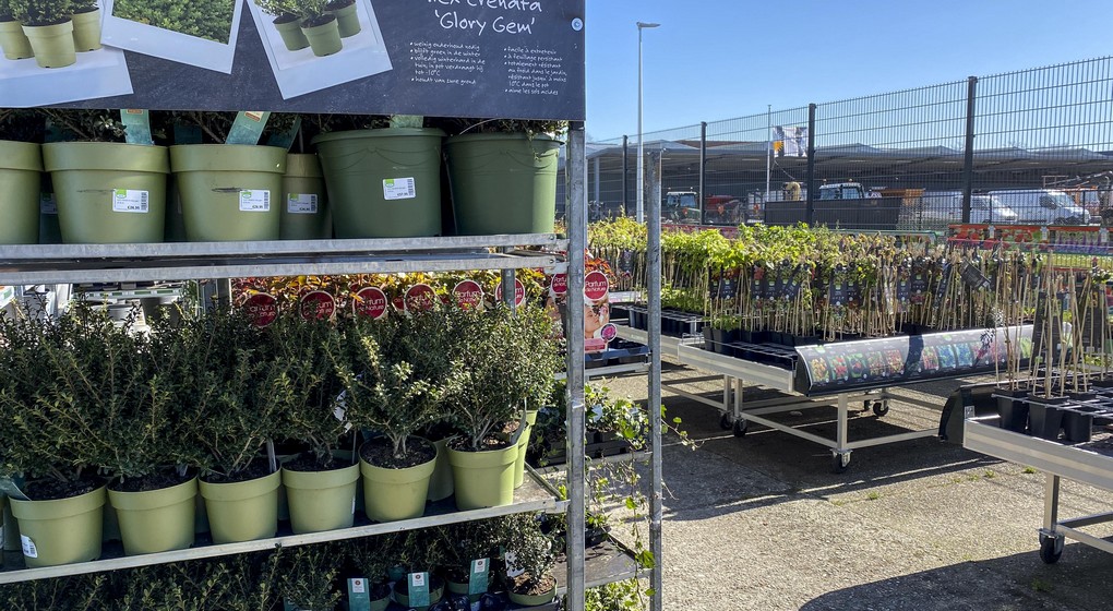 Jardinerie Magasin Bricolage Aveve - Belga Dirk Waem