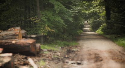 Forêt de Soignes - VTT - Belga Siska Gremmelprez