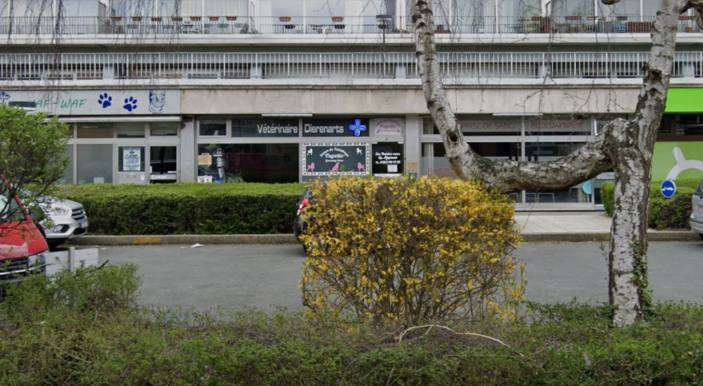 vétérinaire watermael boistfort