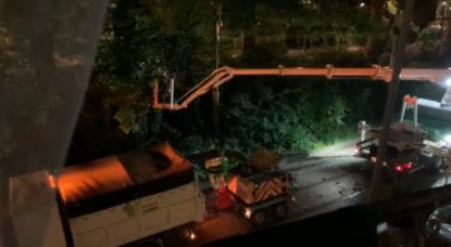 Elagage Arbres Laeken - Capture BX1