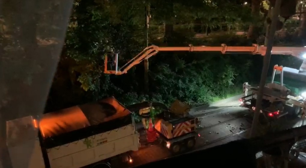 Elagage Arbres Laeken - Capture BX1