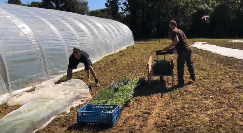 Jardin-Potager Clos des Moutons Bois du Laerbeek - Autrement BX1