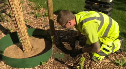 Jeunes arbres - Analyse hydrique système intelligent - Capture BX1