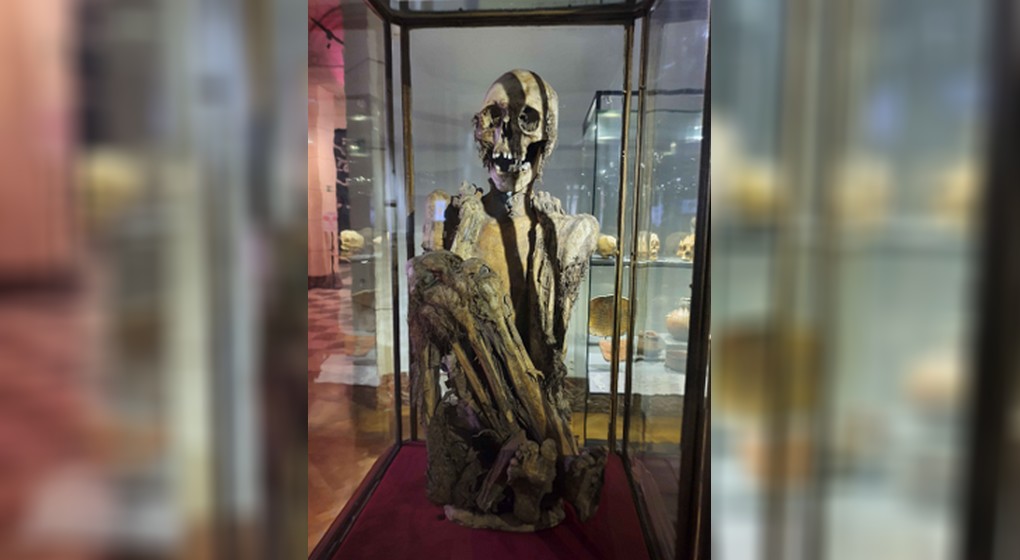 Momie Rascar Capac - Musée Art et Histoire Cinquantenaire