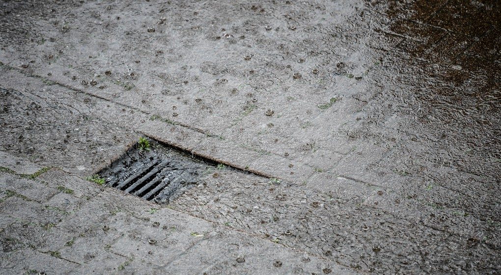 Pluie illustration - Belga Laurie Dieffembacq