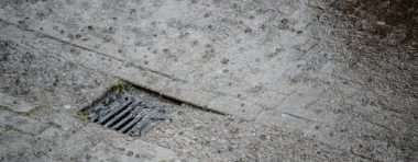 Pluie illustration - Belga Laurie Dieffembacq