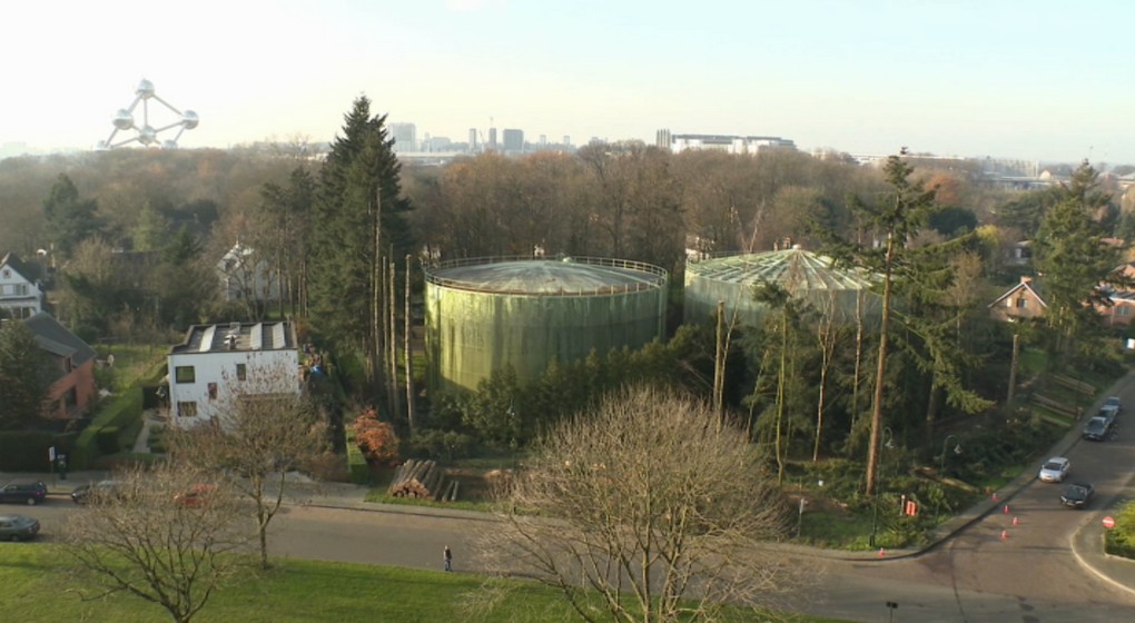 Arbres Avenue de l'Amphore Laeken - Capture BX1