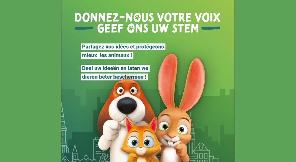 Code du Bien-être Animal - Consultation citoyenne Bruxelles - Bruxelles Environnement