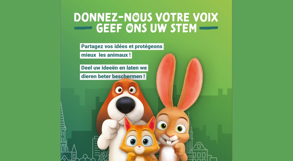 Code du Bien-être Animal - Consultation citoyenne Bruxelles - Bruxelles Environnement