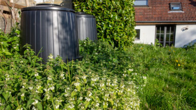 Les produits phytosanitaires interdits pour les particuliers dès le 1er août
