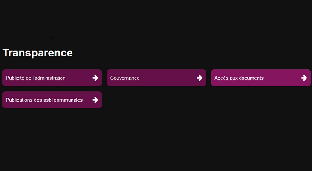 Transparence - Illustration Ville de BRuxelles