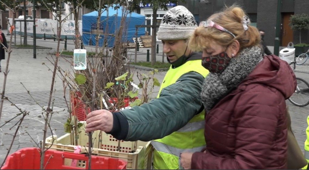 Distribution Arbres Ville de Bruxelles Semaine de l'Arbre - Capture BX1.jpg