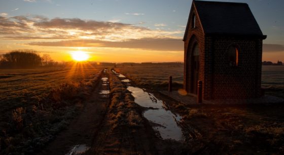 Météo Soleil Matin Hiver Campagne Champs - Belga Nicolas Maeterlinck