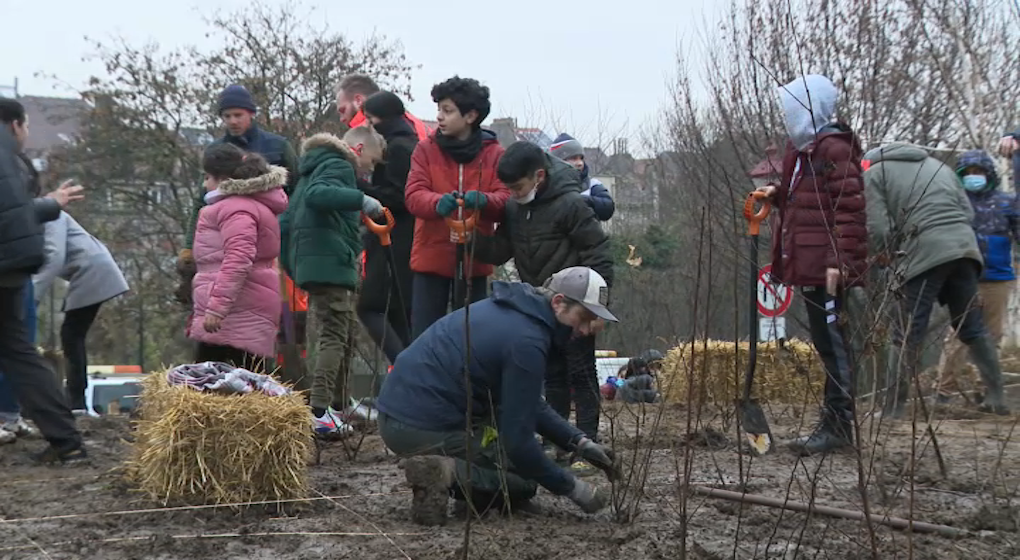 La micro-forêt de jette - Photo : BX1