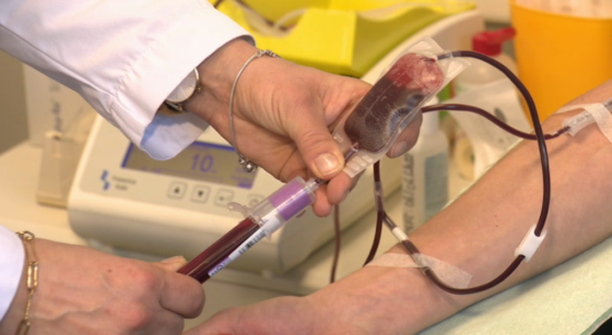 Don de sang Croix Rouge - Photo : BX1