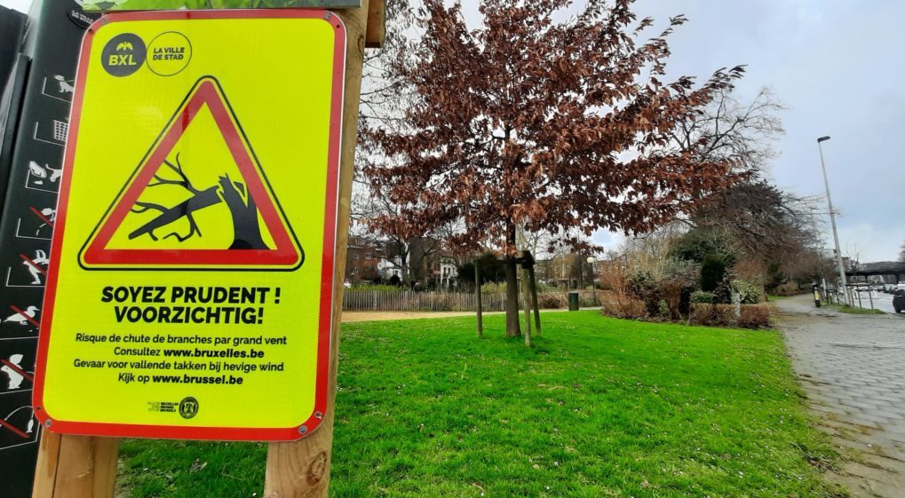 Parc fermé Grands Vents Tempête - Yannick Vangansbeeck BX1
