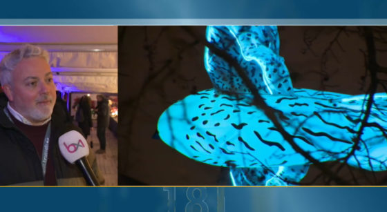 Festival Bright Brussels