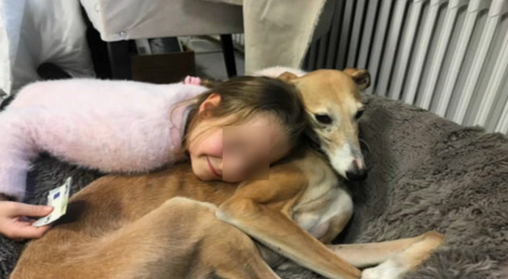 Zoopédagogie Chien Jette - DR