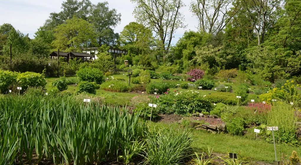 Auderghem - Jardin botanique Jean Massart - Crédit Bruxelles Environnement
