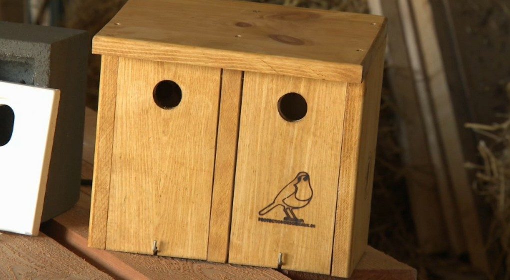 Nichoir Moineaux Oiseaux Schaerbeek - Capture BX1