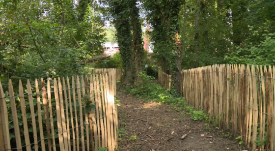 Un "passage secret" reliant deux sentiers, ouvert à Woluwe-Saint-Lambert - Photo : Capture BX1