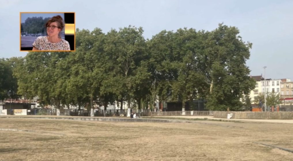 Végétaliser la ville Plateau Autrement - 30082022