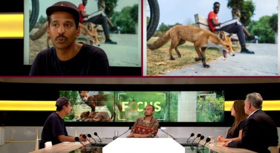 Focus - Plateau Environnement 20082022