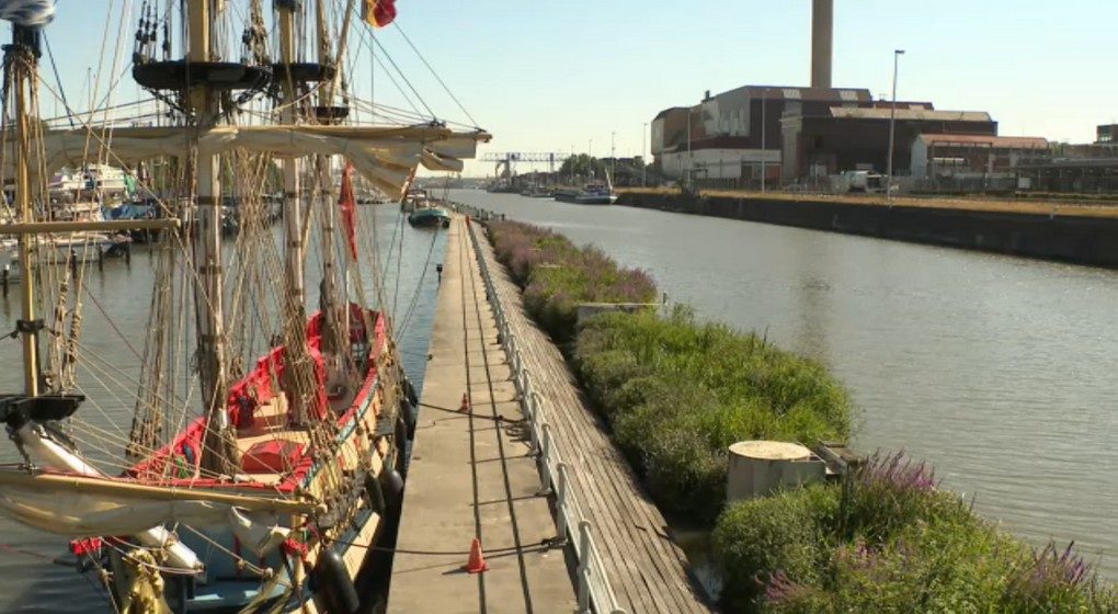 Radeaux végétalisés Plantes Canal - BX1
