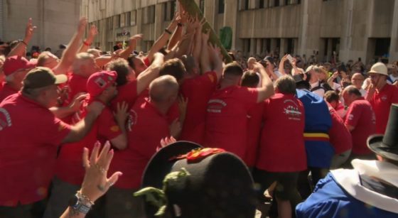 Buumdroegers Meyboom 2022 - Capture BX1