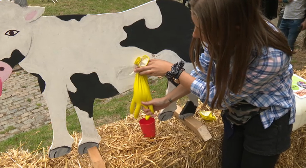 Marché annuel Anderlecht septembre 22 ferme pédagogique