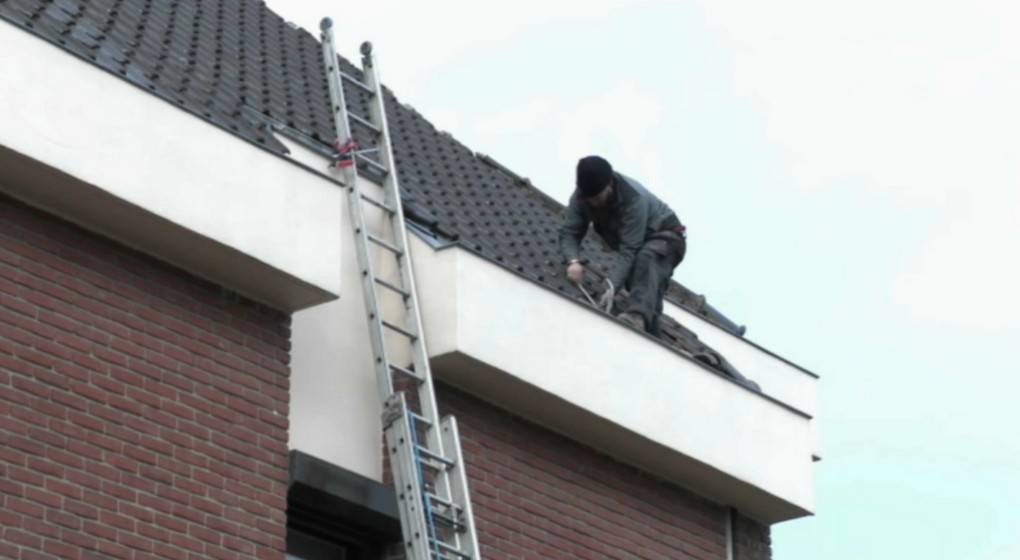 Rénovatoire Toiture Logement Immobilier Maison - BX1