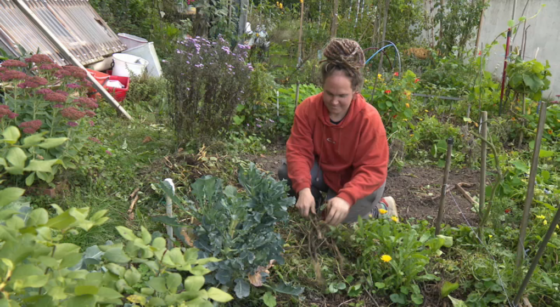Jardin partagé à Etterbeek - Photo : BX1