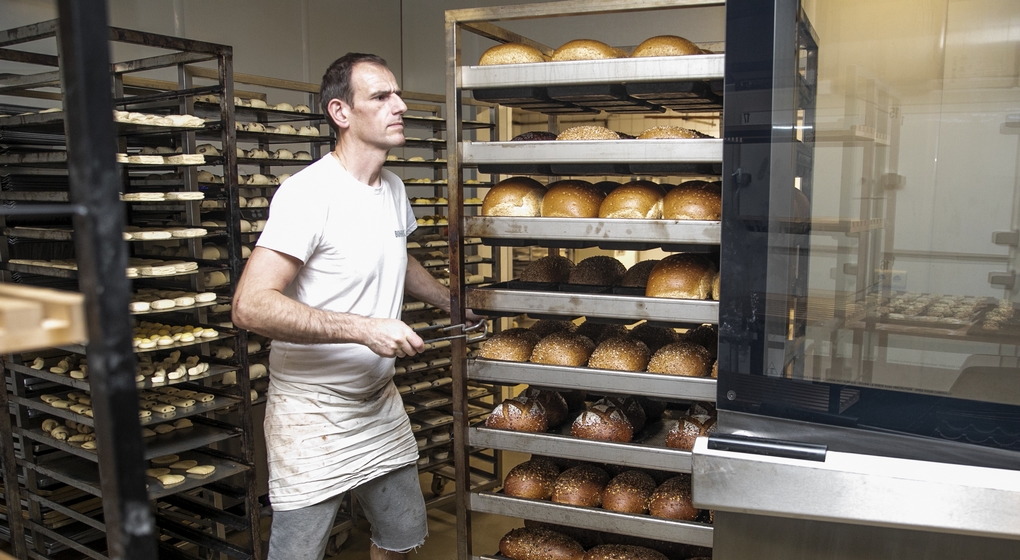 Pain Boulangerie Illustration - Belga Hatim Kaghat